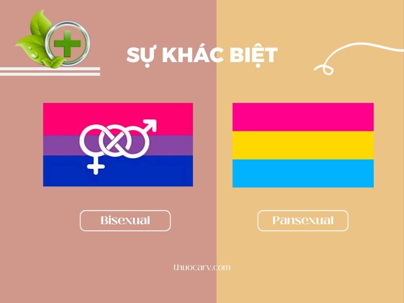 Khám Phá Bisexual Là Gì - Hiểu Biết Về Xu Hướng Tình Dục Lưỡng Tính