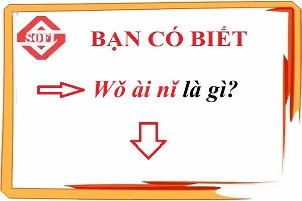 Wo Ai Ni Là Gì - Khám Phá Ý Nghĩa và Tầm Quan Trọng Của Cụm Từ Này Trong Cuộc Sống